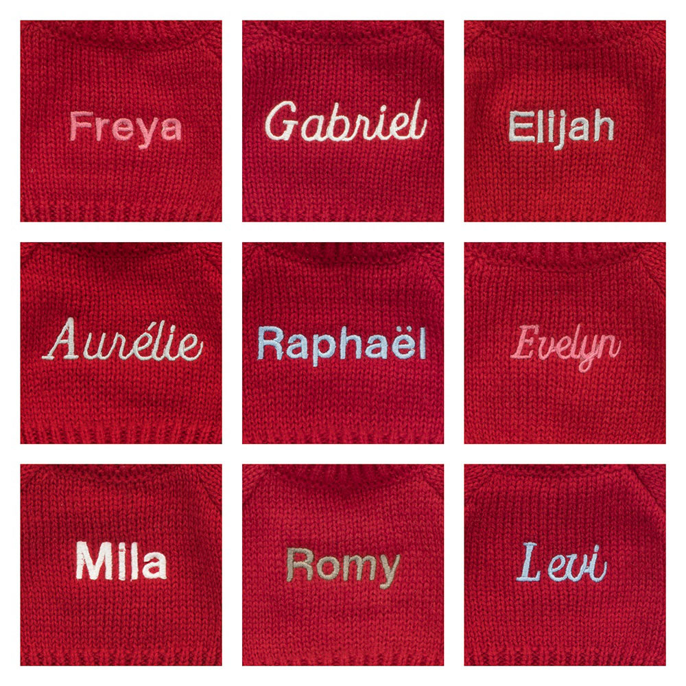 Bashful Giraffe with Personalised Red Jumper, Main View
